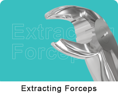 Extracting Forceps